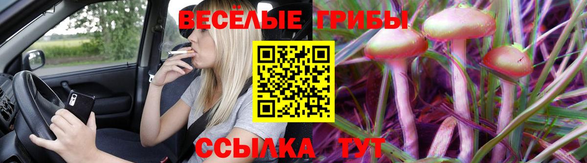 Псилоцибиновые грибы мицелий  Вход с VPN  Кемерово 